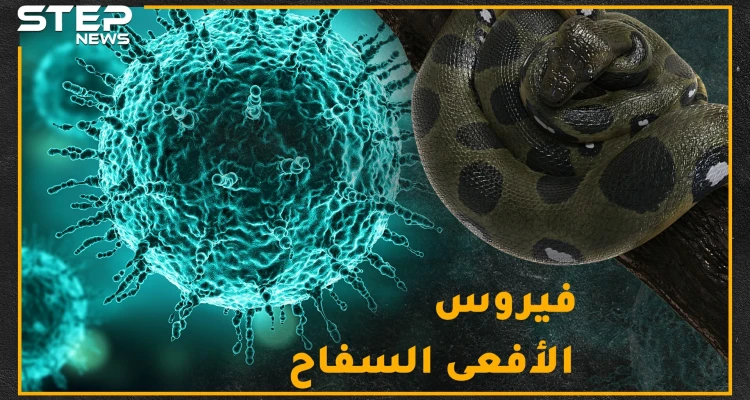 "كورونا" سلاح الأفاعي الجديد لقتل البشر.. هل حقاً فناء البشرية على يد الفيروسات التاجية!؟