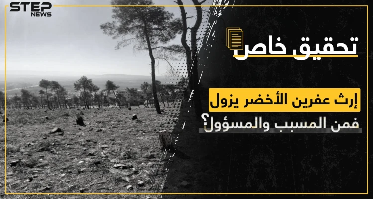 غابات عفرين تتحول إلى صحراء جرداء وجهات نافذة تبني ثروات على حساب قوت الناس