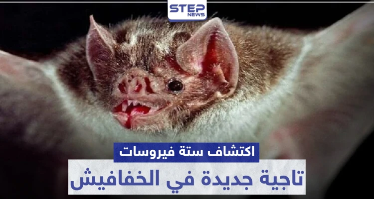 "غير كورونا" اكتشاف 6 فيروسات تاجية جديدة في الخفافيش.. تعرف عليها