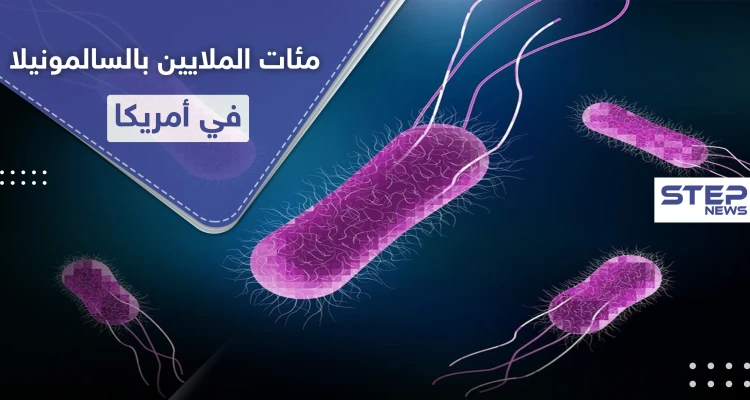 مئات المصابين بـ السالمونيلا في أمريكا.. ما هو مصدره وكيف نحمي أنفسنا منه!