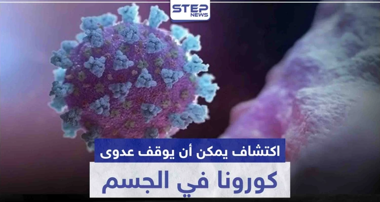 اكتشاف يمكن أن يوقف عدوى كورونا في الجسم.. ويمنع انتشاره