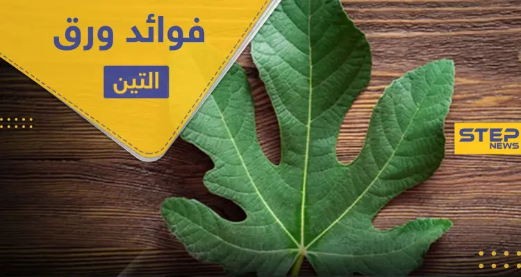فوائد ورق التين لعلاج السكري والقلب وأعراضه الجانبية: أخبار