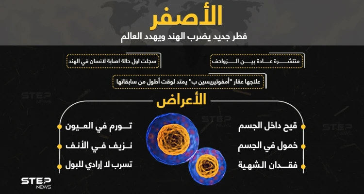 الفطر الأصفر.. خطر جديد يهدد العالم ماذا تعرف عنه؟