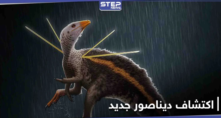 اكتشاف ديناصور بحجم الدجاجة يُكنّى بـ "سيد الرماح" مزود بإبر ويشبه الطاؤوس