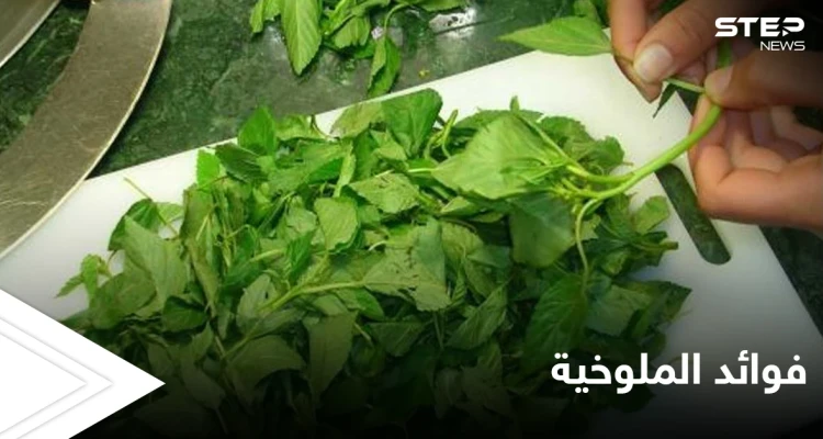 أوراق الملوخية.. فوائد ومحظورات صحية