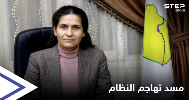 رئيسة "مسد" تفتح النار على النظام السوري: يرى في الحسم العسكري حلاً وحيداً للملف السوري