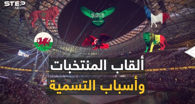 "ديناميت" و"تنانين" و"أسود" وحيوانات مفترسة أخرى.. أغرب القاب المنتخبات المشاركة في كأس العالم