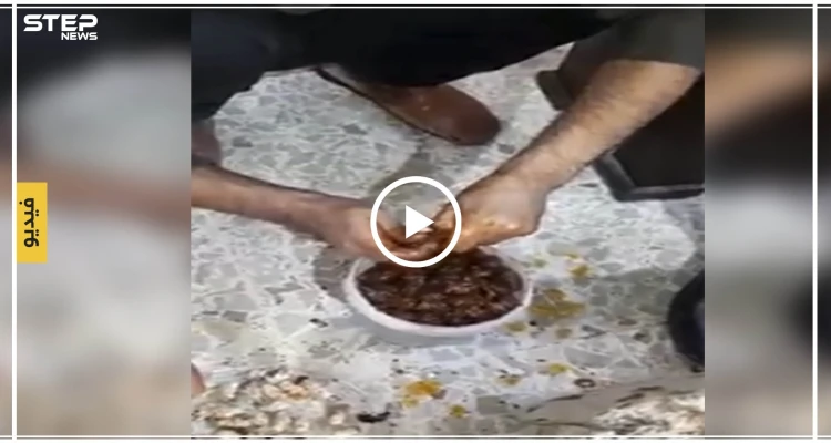بالفيديو|| فرع تابع للنظام السوري يضبط كمية "كبتاغون" مخبأة داخل حبات مكدوس!