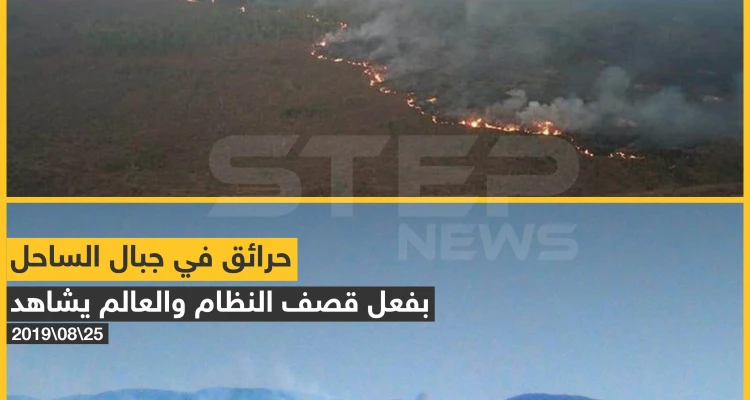 ما الفرق بين سوريا والأمازون برأيك؟!