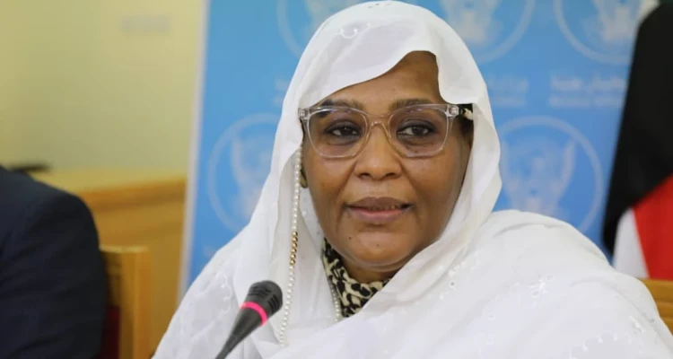 وزيرة الخارجية السودانية: أطلعنا رئيس مجلس الأمن على ملف سد النهضة وإثيوبيا تنتهج نهجاً خاطئاً