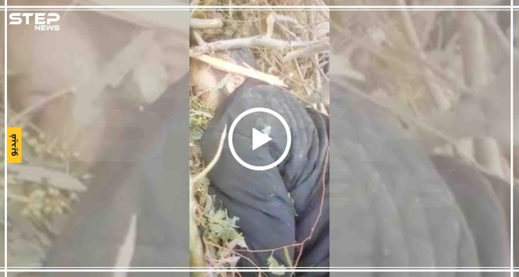 بالفيديو|| غارة روسية تستهدف قائد حركة أحرار الشام وعدد من شرعيي الحركة جنوبي إدلب.. والحصيلة!