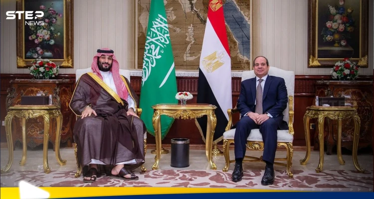 ما وراء استقبال بن سلمان للسيسي في نيوم.. وأهم الملفات المطروحة