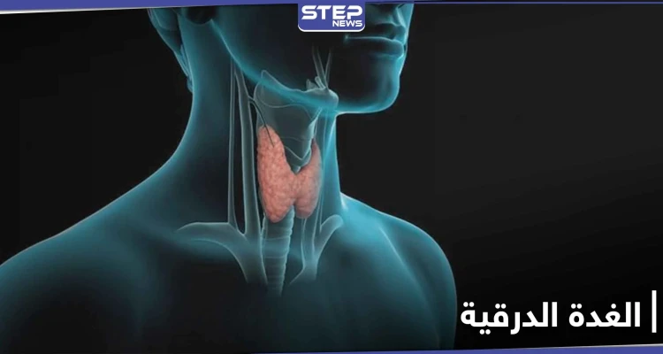 علامات فشل وظائف الغدة الدرقية الهامة في جسم الإنسان