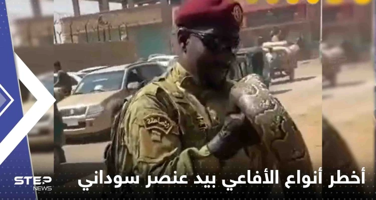 شاهد|| عنصر من القوات المسلحة السودانية يحمل أحد أخطر أنواع الأفاعي ويتبختر