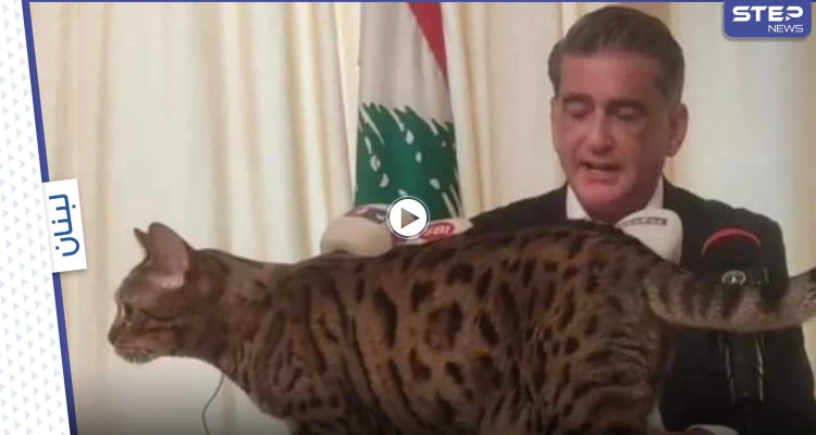 بالفيديو|| هرّة تقتحم مؤتمر صحفي لنائب لبناني سابق.. وردة فعل الأخير لافتة