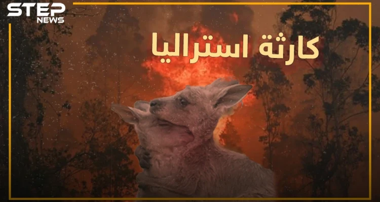 نصف مليار كائن اختفى من الكوكب بسبب حرائق استراليا..