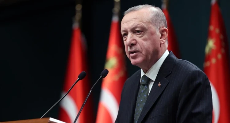 أردوغان يعلن عن خطة اقتصادية ويرفض الانتخابات المبكرة