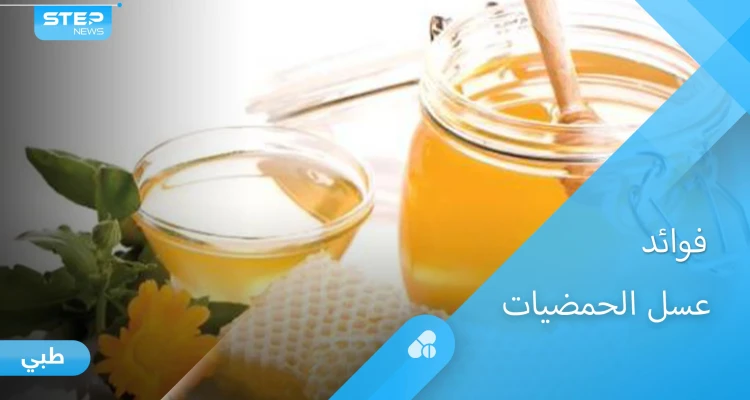تعرف على فوائد عسل الحمضيات الكثيرة ومخاطره على الأطفال - أخبار - وكالة ستيب نيوز