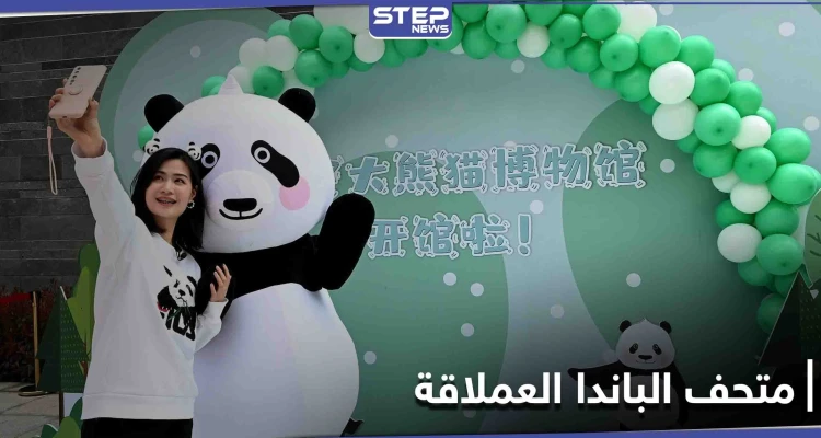 الأول من نوعه في العالم.. متحف تفاعلي لـ الباندا العملاقة في الصين