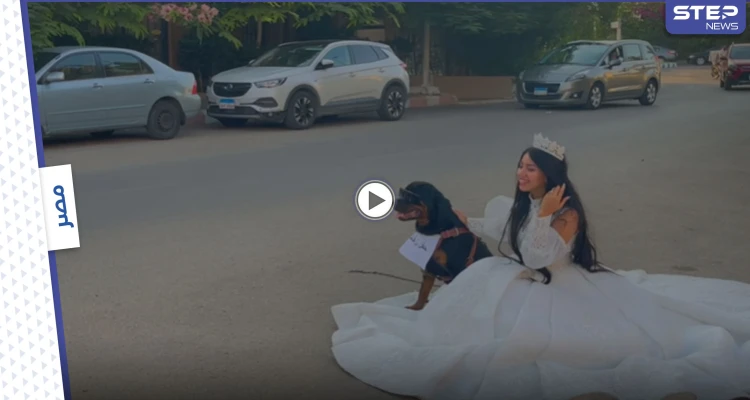 بالفيديو|| البلوجر هبة مبروك تعلن زواجها من كلب وتنشر حفل زفافها مثيرة استفزاز المصريين