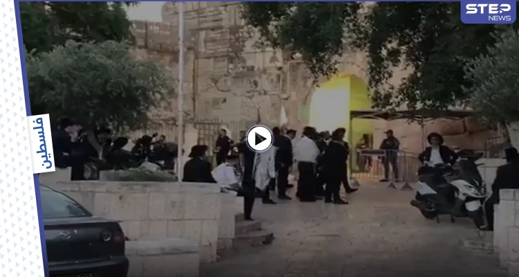 بالفيديو|| مستوطنون يستفزون المصلين في المسجد الأقصى بأدائهم "الطقوس التلمودية" بالتزامن مع رفع أذان المغرب