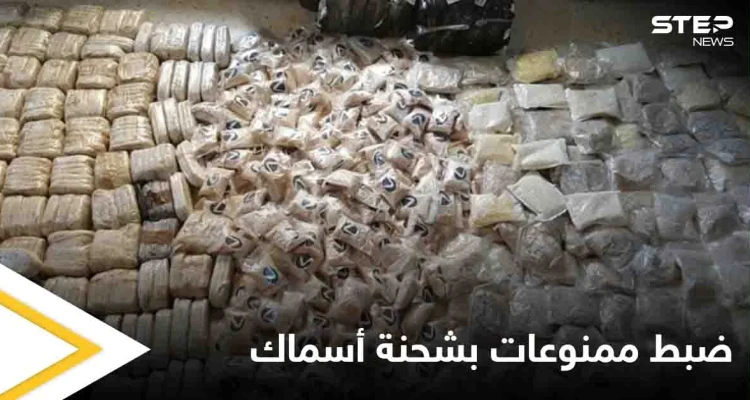 بعد إصدار حكم الإعدام بتجار الممنوعات.. الكويت تضبط كميات مهربة في شحنة أسماك وهذا مصير الفاعل
