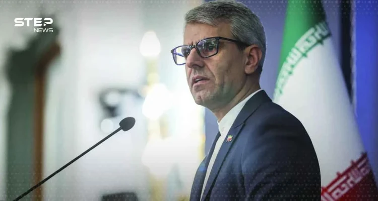 المتحدث باسم وزارة الخارجية الإيرانية - إسماعيل بقائي