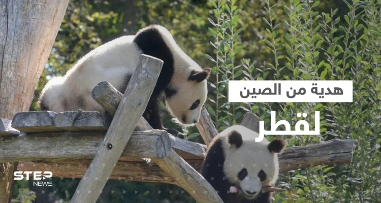 بالفيديو|| هدية فريدة من نوعها تقدمها الصين لقطر بمناسبة كأس العالم