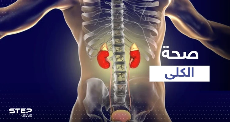 4 مشروبات شهيرة الإفراط في تناولها يضر بكليتك ويسبب تلفها.. احذر منها