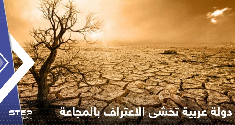 حكومة دولة عربية تخشى الاعتراف بالمجاعة وتقرير يكشف "المعضلة": أخبار