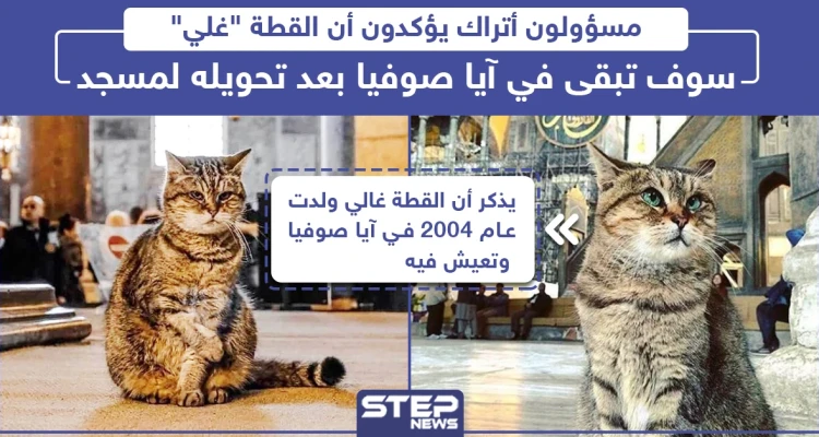 مسؤولون أتراك يؤكدون أن القطة "غلي" سوف تبقى في آيا صوفيا بعد تحويله لمسجد