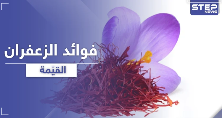 الزعفران مصدر لقيم غذائية عالية .. يحمي من تلف شبكية العين والزهايمر