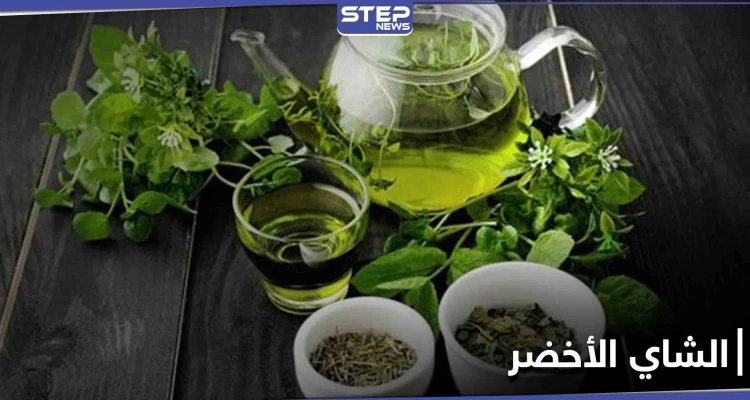 الشاي الأخضر تحمي من مرض خطير وتستعمل للوقاية من الإصابة به