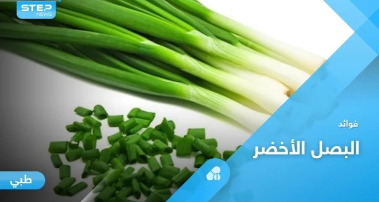 يرفع المناعة ويحارب الأمراض تعرف على فوائد البصل الأخضر