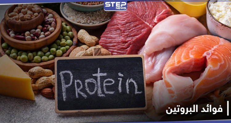 فوائد البروتين لصحة جهاز المناعة وشفاء الجروح وبناء الخلايا