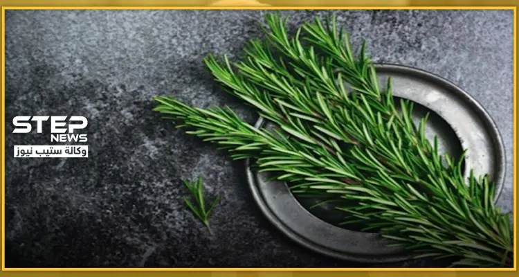 لمحاربة الإكتئاب ومشاكل الذاكرة عند الأطفال.. ينصح بتناول هذه الأعشاب: أخبار