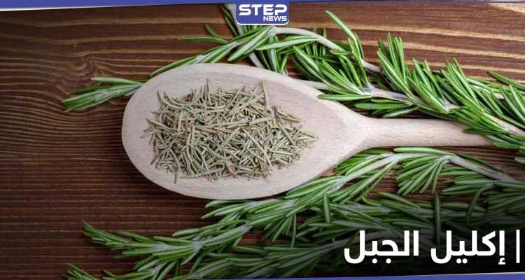 تعرّف على فوائد إكليل الجبل للصحة الجنسية للرجال وتحذير خطير من استخدامه للنساء