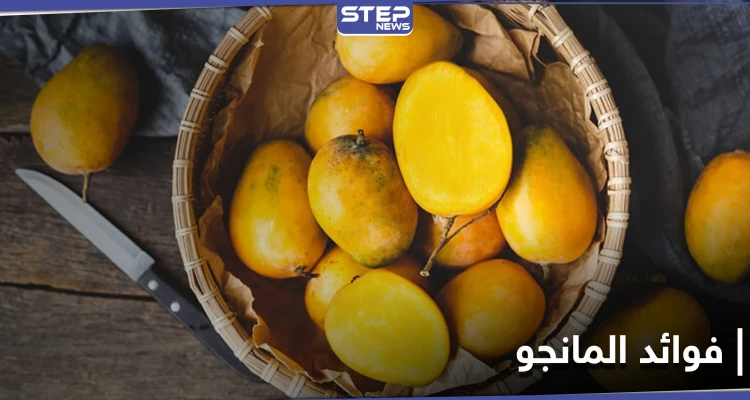 فاكهة غنية بالفيتامينات الضرورية لنمو الأطفال والوقاية من الأمراض .. تعرف إلى فوائد المانجو