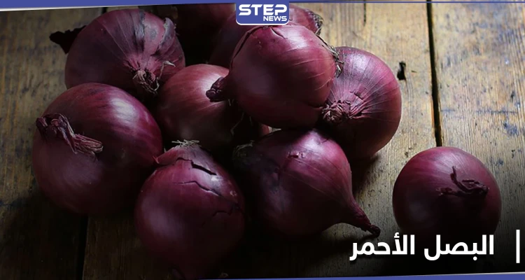 البصل الأحمر وتأثيره في جسم الإنسان.. فوائد لن تصدقها