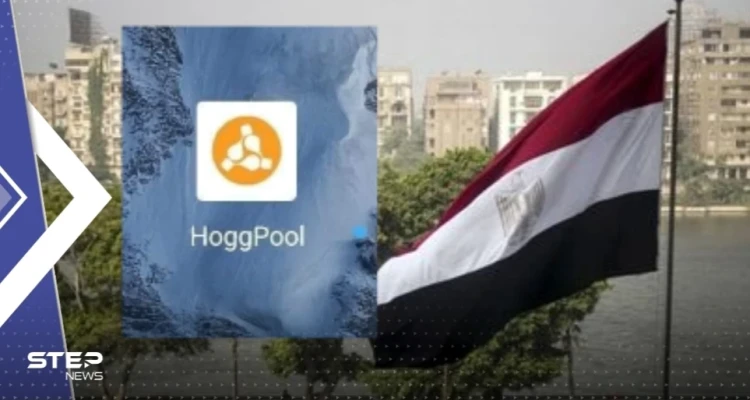 في عملية احتيال كبيرة.. منصة "هوج بول" تسرق مئات المصريين