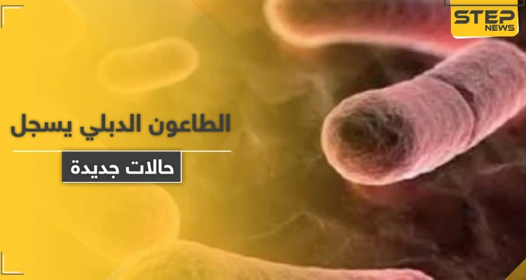 بعد الصين ومنغوليا.. الطاعون الدبلي يطرق باب أمريكا والسلطات تستعد