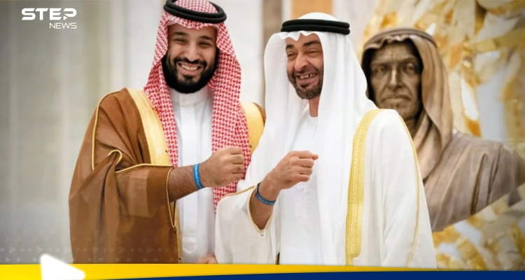 القمة الإماراتية السعودية.. تأكيد على حل الدولتين وثوابت القضية