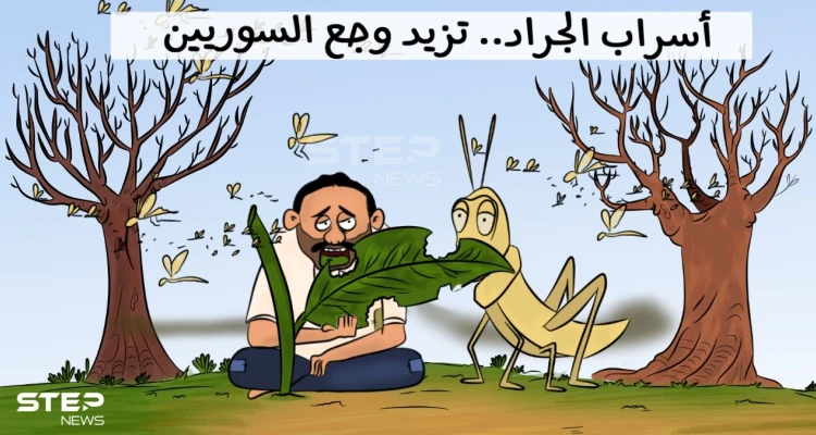 أسراب الجراد تهاجم سوريا