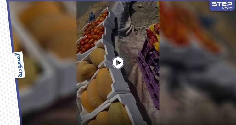 بالفيديو|| مواطن يحرج بائعة خضار مسنة ويقوم بتصويرها والتنمر عليها.. وإجراء قانوني عاجل بحقه