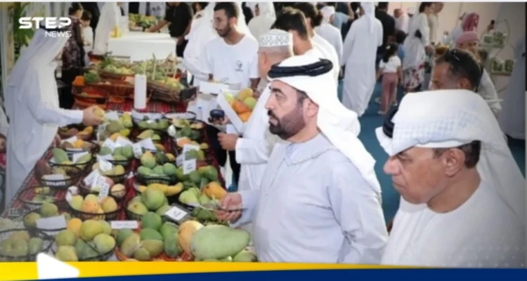 بهدف تبادل الخبرات.. الشارقة تستعد لإطلاق فعاليات  مهرجان المانجو