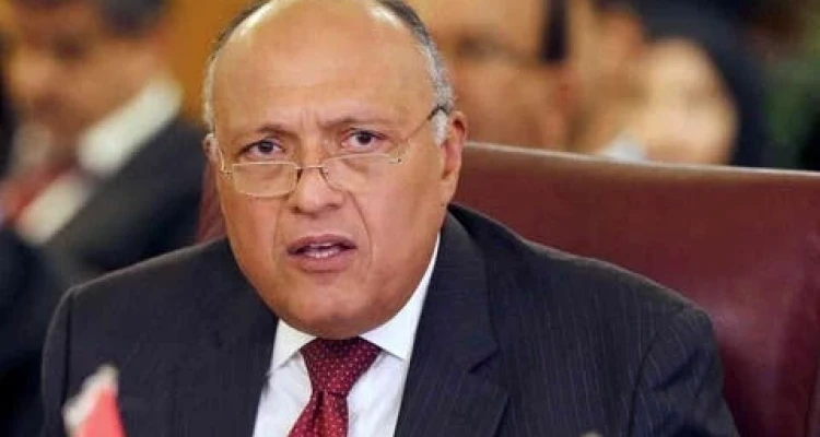 وزير الخارجية المصري يحذّر من ملء إثيوبيا سد النهضة ويعرض على غوتيرش سبل الحل