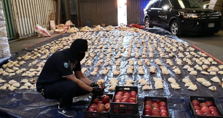 وزير الداخلية السعودية بعد ضبط ملايين حبوب الكبتاجون بفاكهة رمان لبنانية.. "أمن الممكلة خط أحمر"