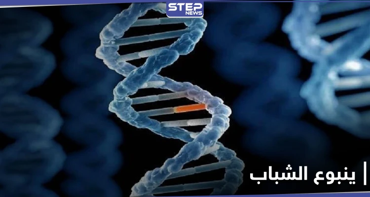ينبوع الشباب.. اكتشاف طفرة جينية نادرة تحمي من أمراض خطيرة