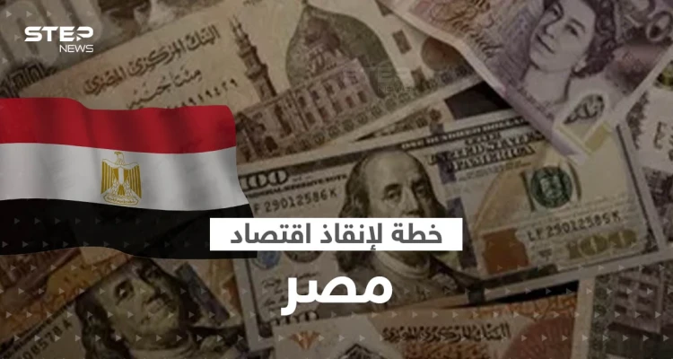 خطة صندوق النقد الدولي لإنقاذ اقتصاد مصر ترتبط بالجيش.. وهبوط تاريخي للجنيه مقابل الدولار