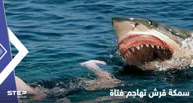 بالفيديو|| "صدمة" الناس على شاطئ استرالي بعد مهاجمة سمكة قرش لفتاة نزلت للبحر